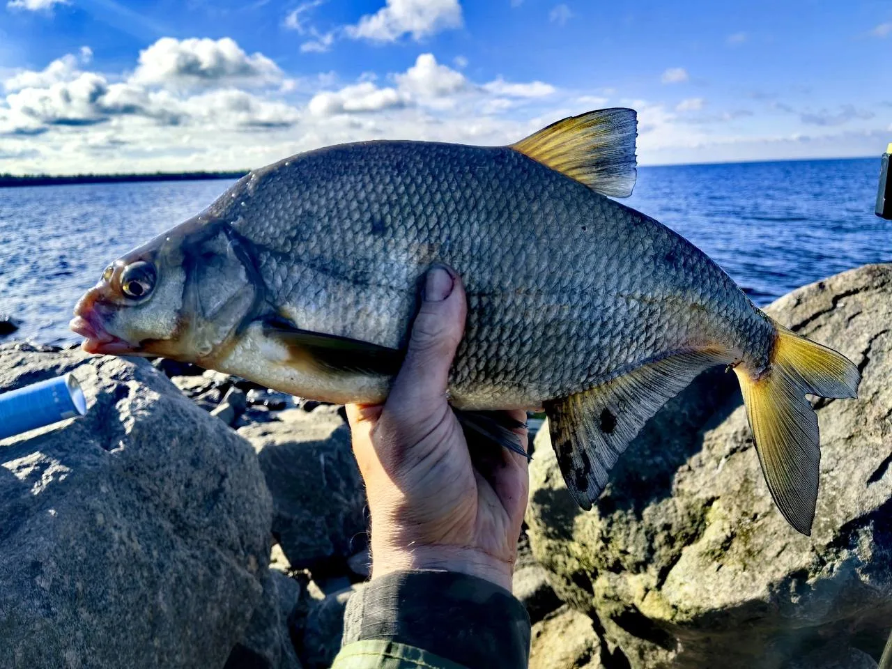 🗓 ~06-07.06.26
🌊 Финский залив 
🚩 Дамба, Горская
🎣 Фидер
➖
Не изменяя традициям👉или снова Горск