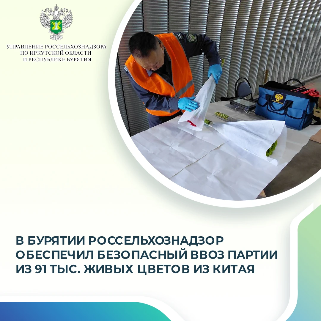 29 сентября 2026 года на складе временного хранения (СВХ) ТЛТ «Кяхта» специалистами Упр...