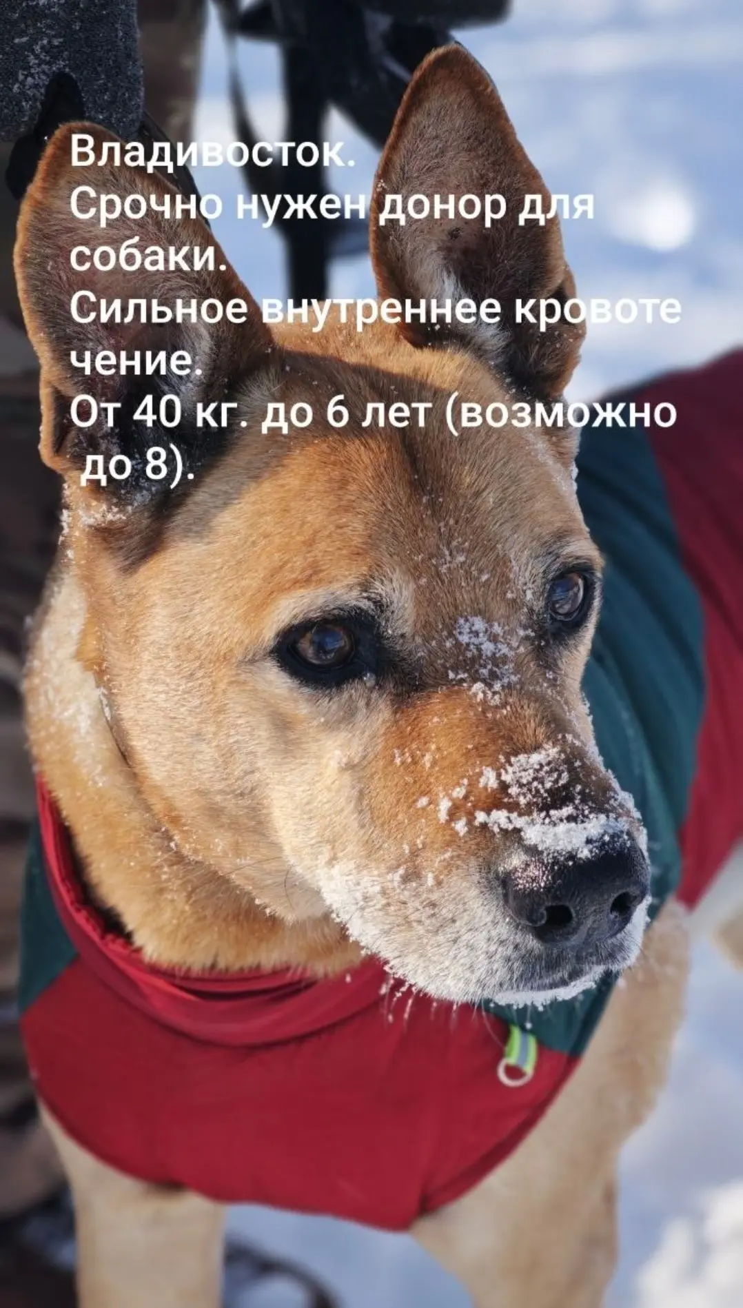 Добрый вечер, друзья 🤗