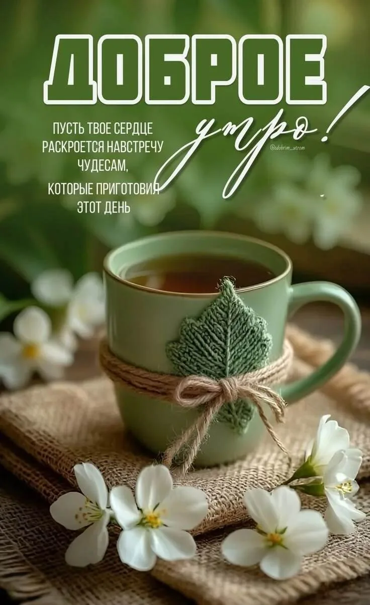 Открытки и приколы 🌸