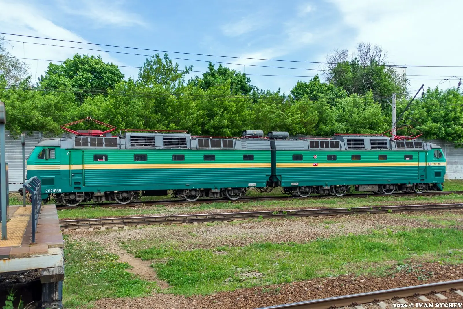 Про двух железнодорожных птиц в одном кадре.