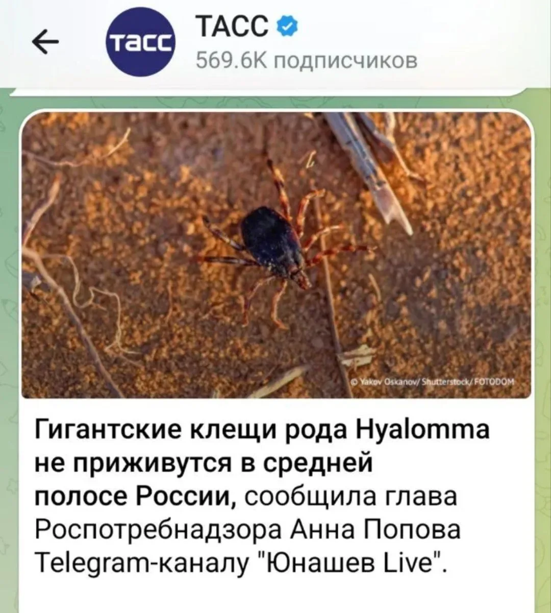 ... но все равно попробуют баллотироваться в Государственную Думу по партийным спискам от "Единой Ро