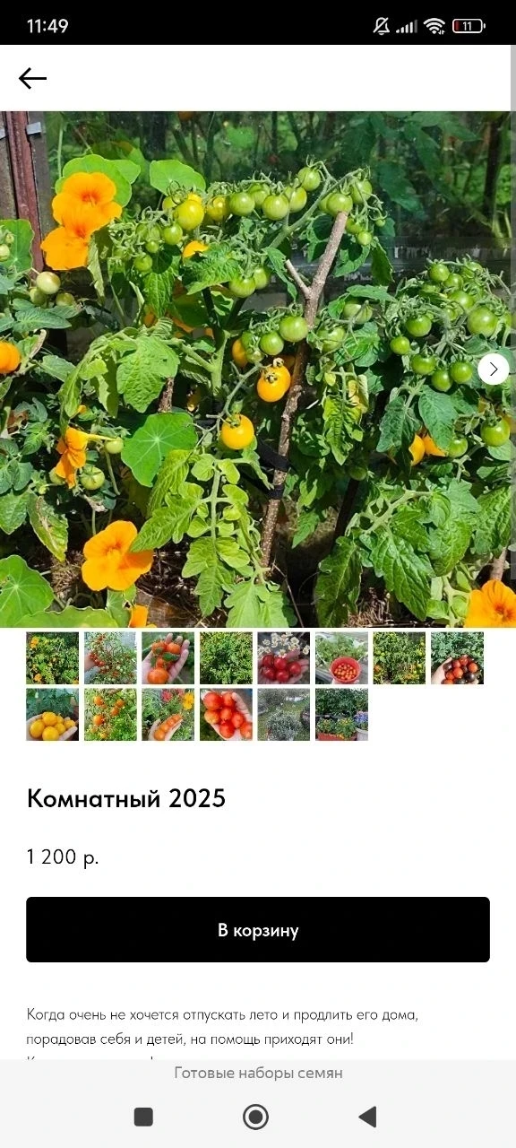 Заказы принимаю до среды. Отправляю Яндексом или почтой, доставка оплачивается отдельно...