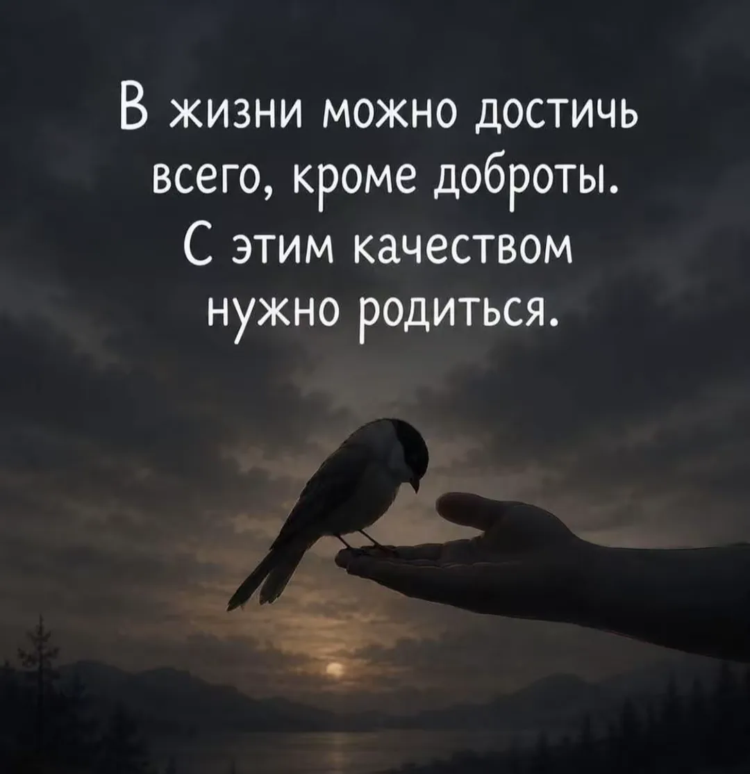 Цитаты 😉