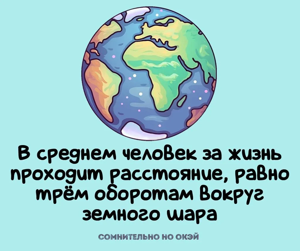 Признавайтесь, знали?