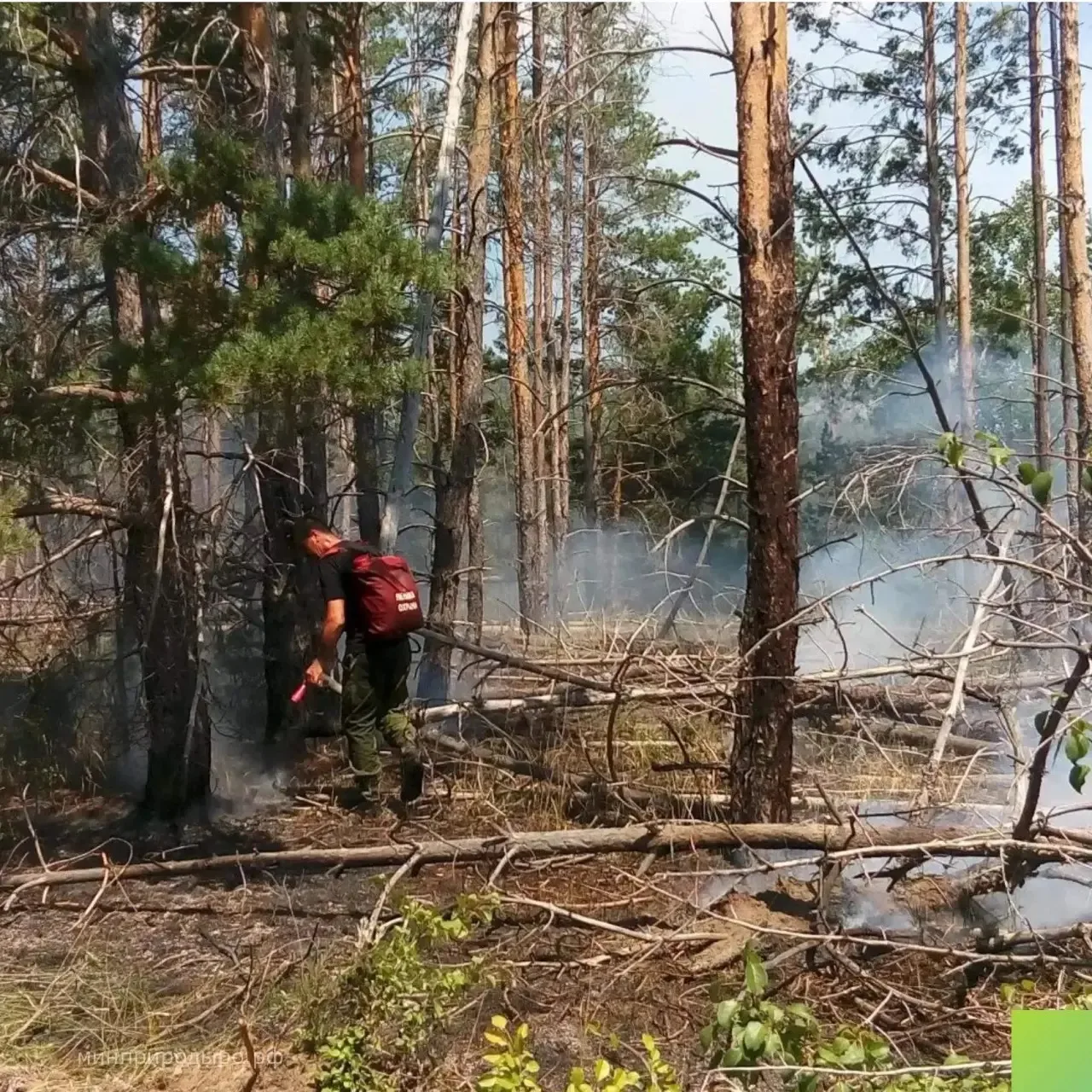Лесной пожар в Цимлянском районе