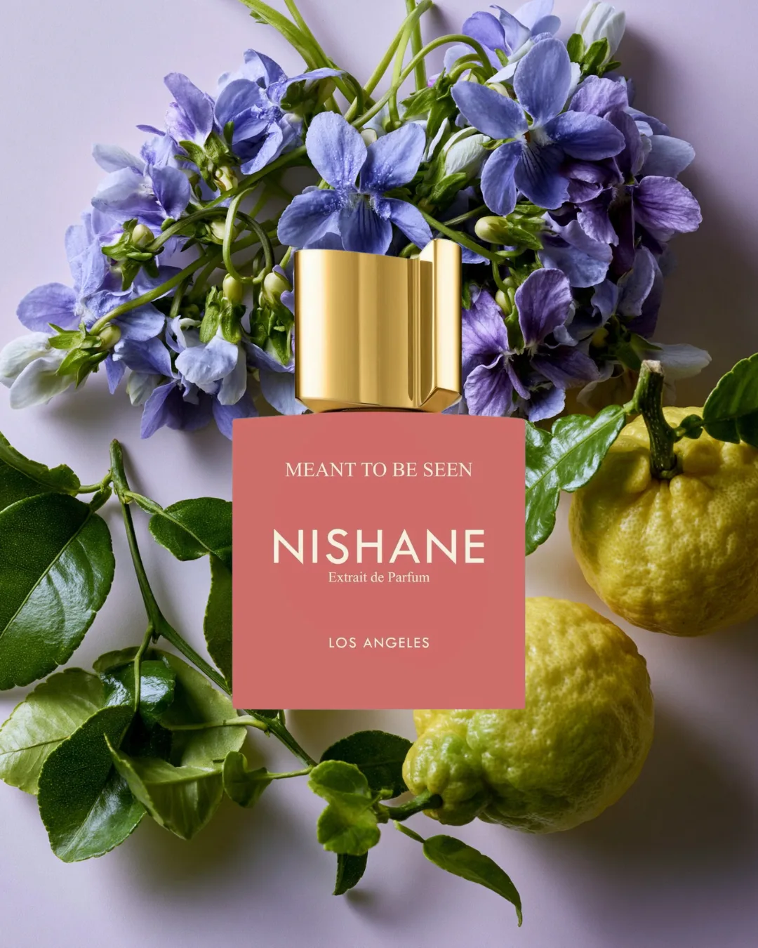 🔥 MEANT TO BE SEEN · NISHANE
Само название — уже вызов. Не "встречен", не "замечен" — а так и было 
