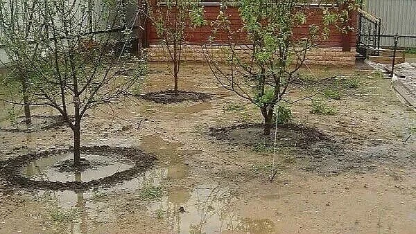 ЕСЛИ У ВАС ВЫСОКИЕ ГРУНТОВЫЕ ВОДЫ НА УЧАСТКЕ..