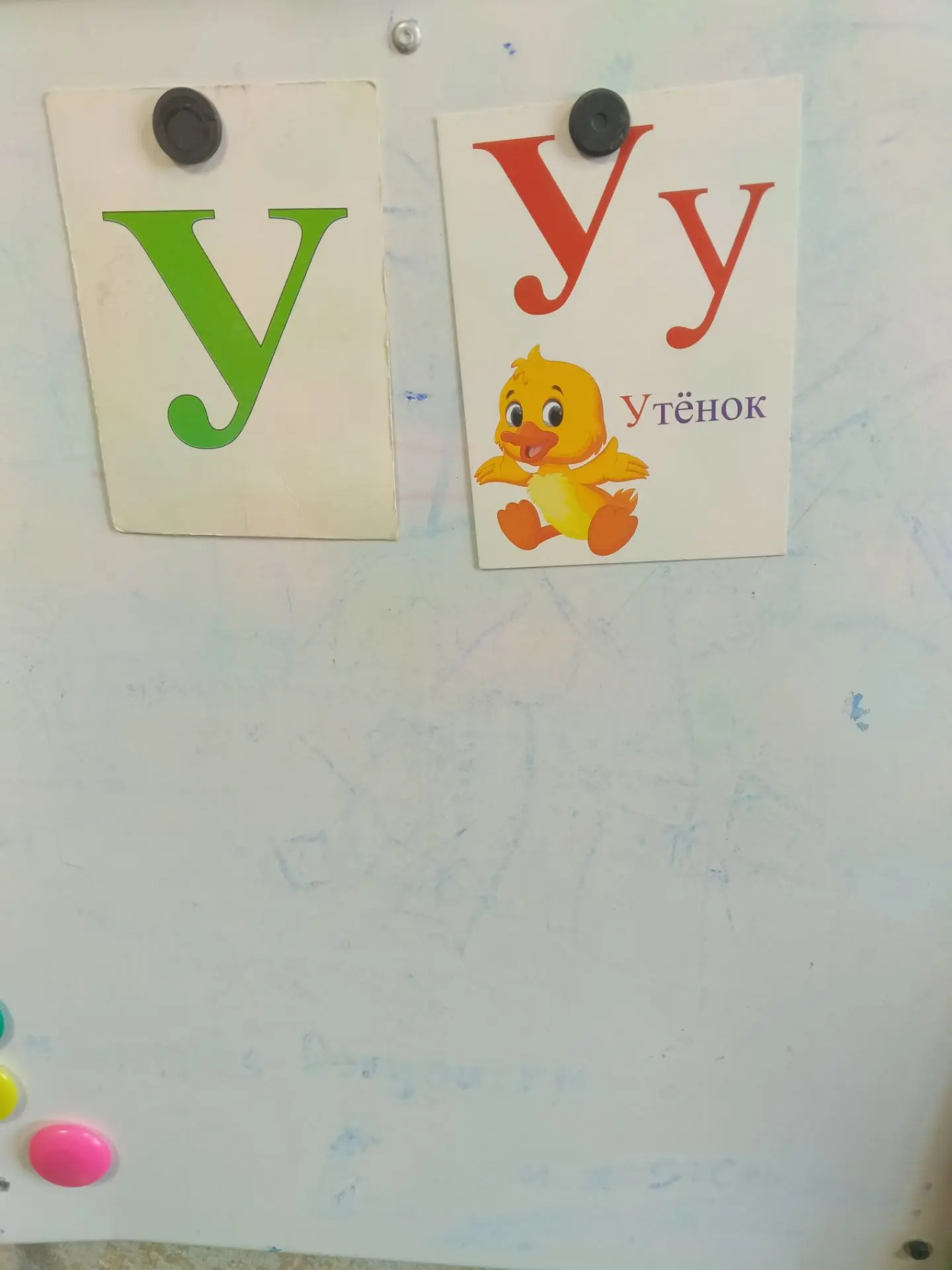 Звук и буква "У" .