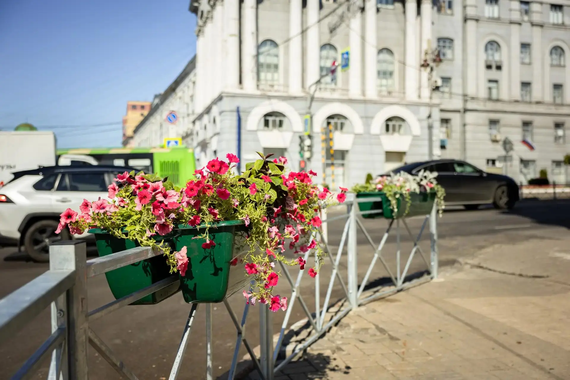 🌷 В Курске на дорожных ограждениях улицы Ленина устанавливают термочаши с ампельными цветами. Работ