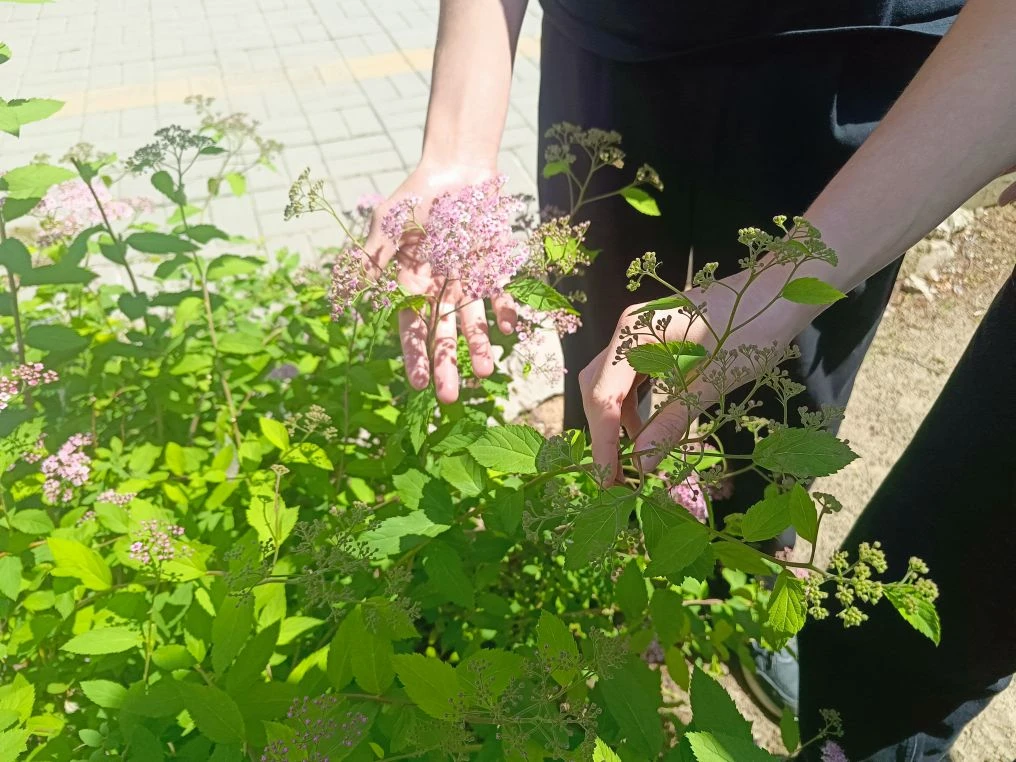 🌿5 июня- день эколога в России. 
Этот день является профессиональным праздником сотрудников, осущес