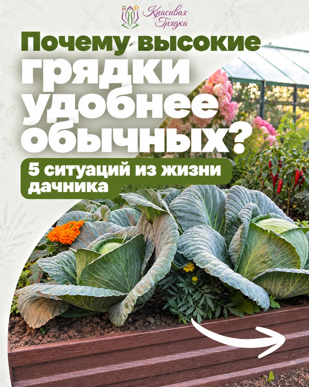 🌱 Почему высокие грядки удобнее обычных? 5 ситуаций из жизни дачника