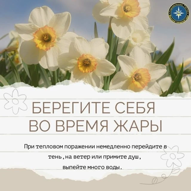 Напоминаем вам основные правила безопасности в жару:
Старайтесь как можно меньше находиться под прям