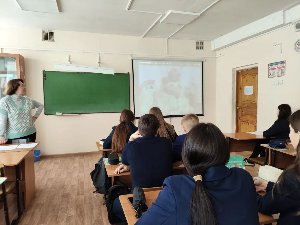Сегодня в нашей школе прошли увлекательные открытые уроки по истории — настоящие мастер‑классы от оп