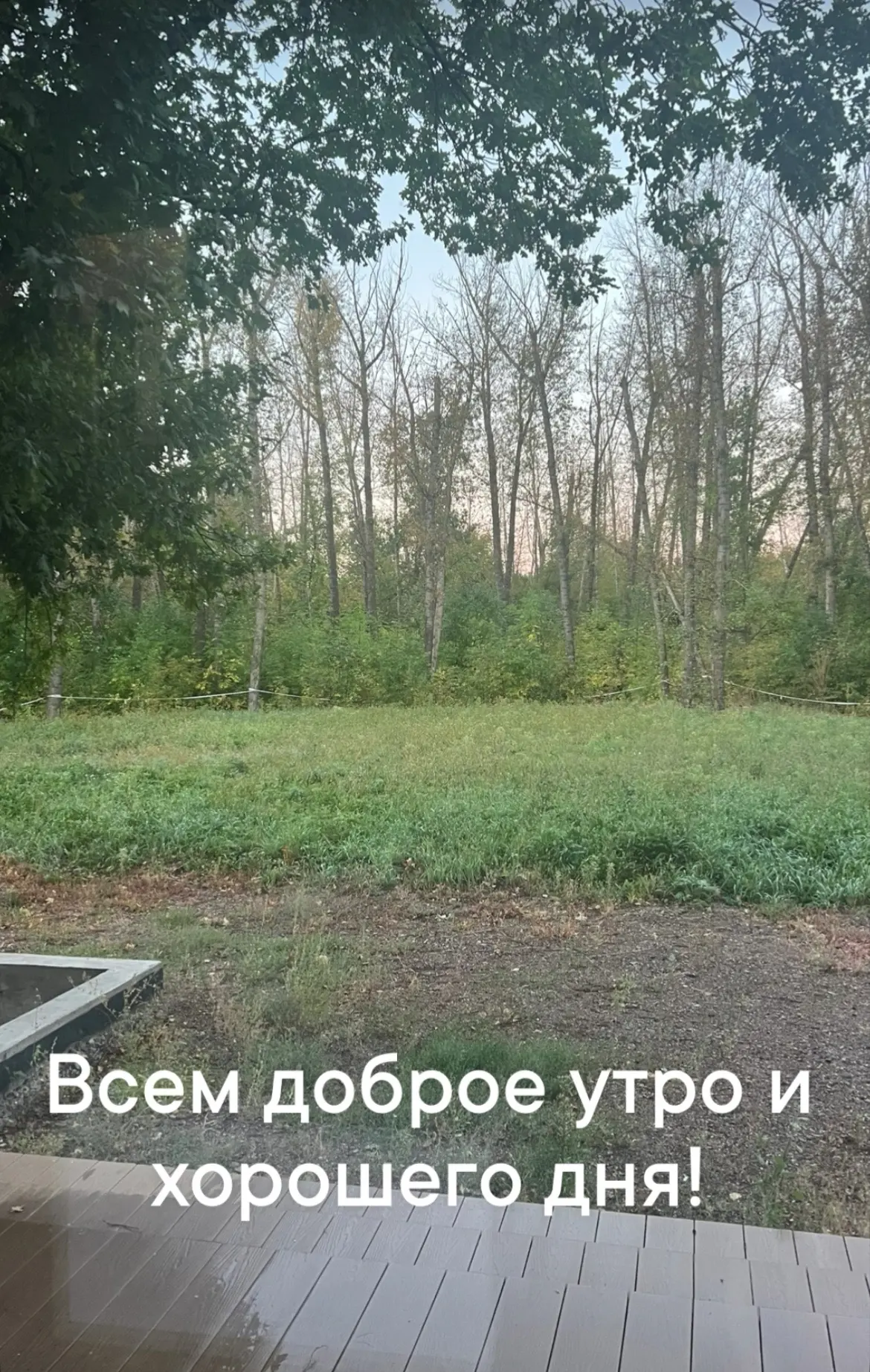 У меня в планах на сегодня онлайн работа, тренировка, прием и домашние занятия с Дианой.