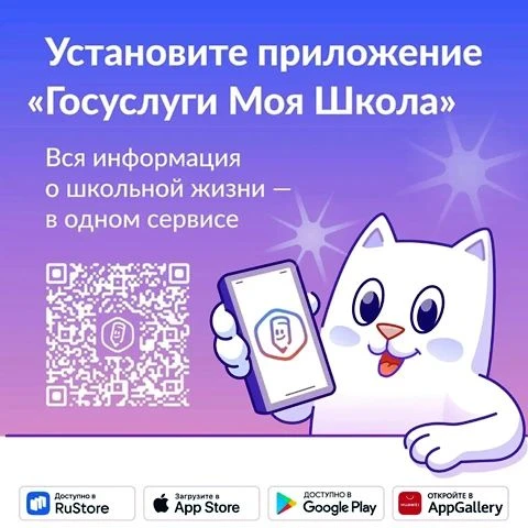 С 1 сентября донские школы переходят на новый цифровой образовательный сервис ТОР «Моя ...