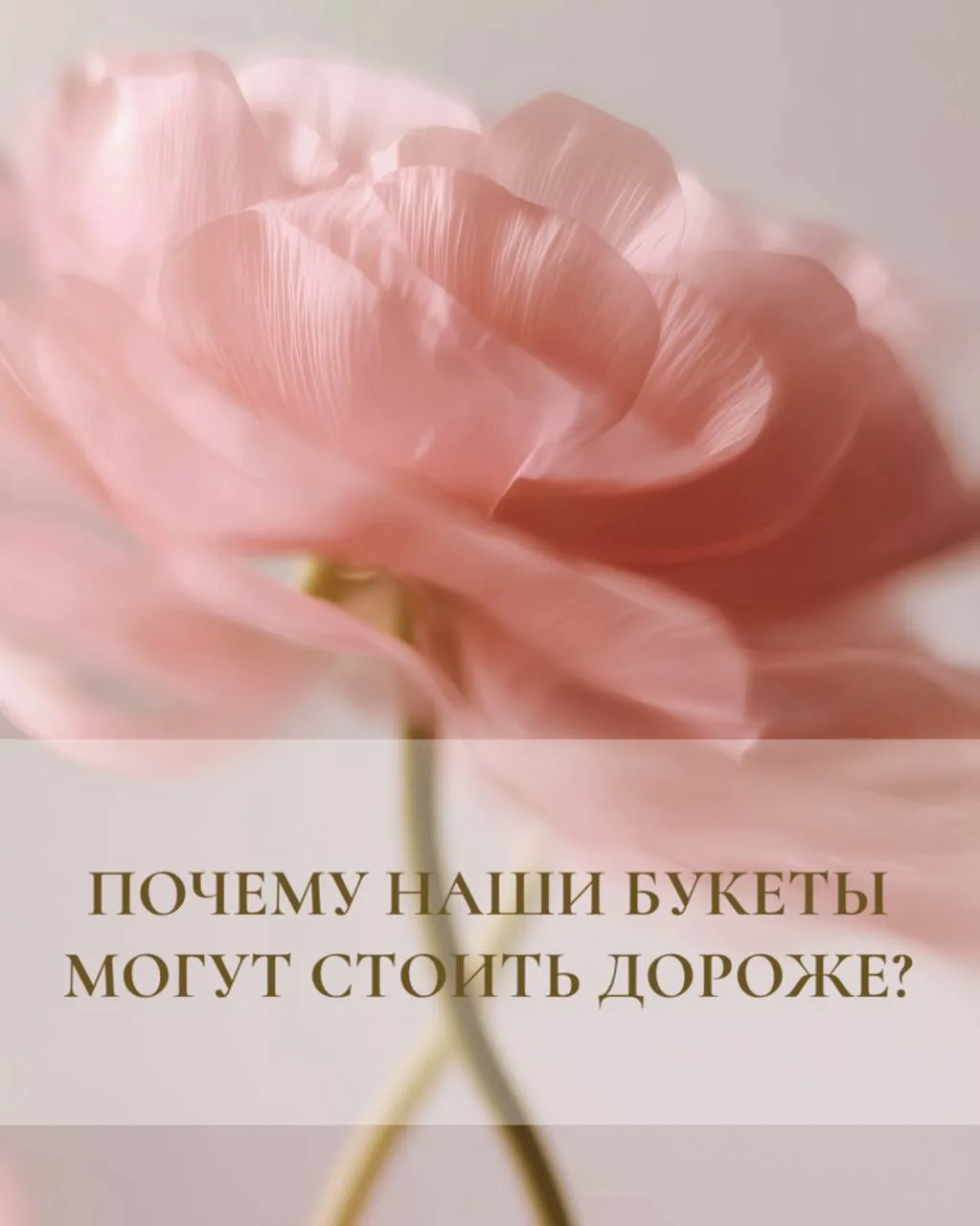 🌸Почему наши букеты могут стоить дороже? Сейчас расскажем..😉