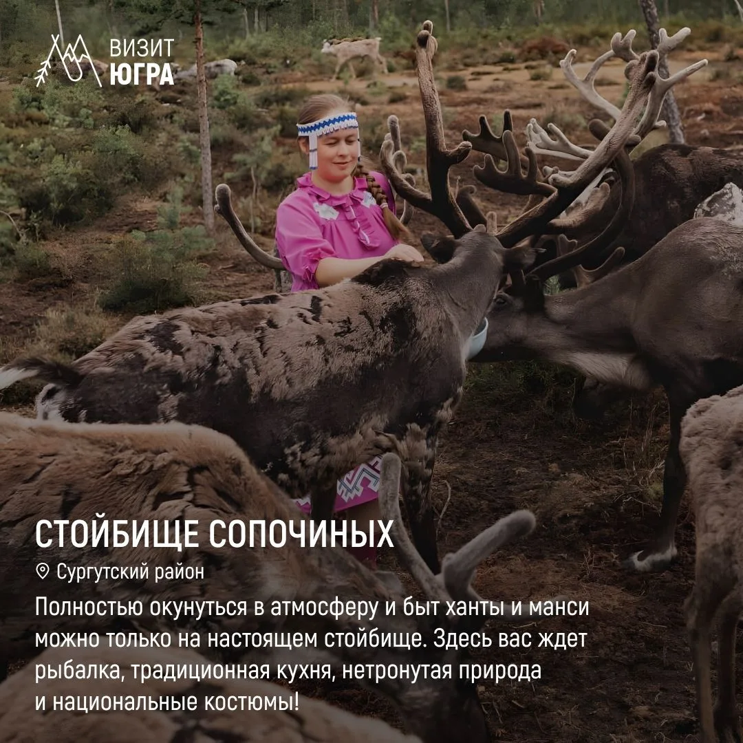 Природа, быт в чуме, табуны оленей — все это атмосфера Югры. Рассказываем про места, гд...