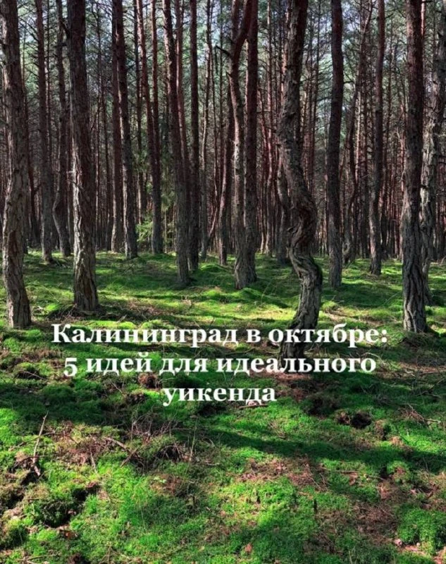 Калининград в октябре: 5 идей для идеального уикенда 🍂