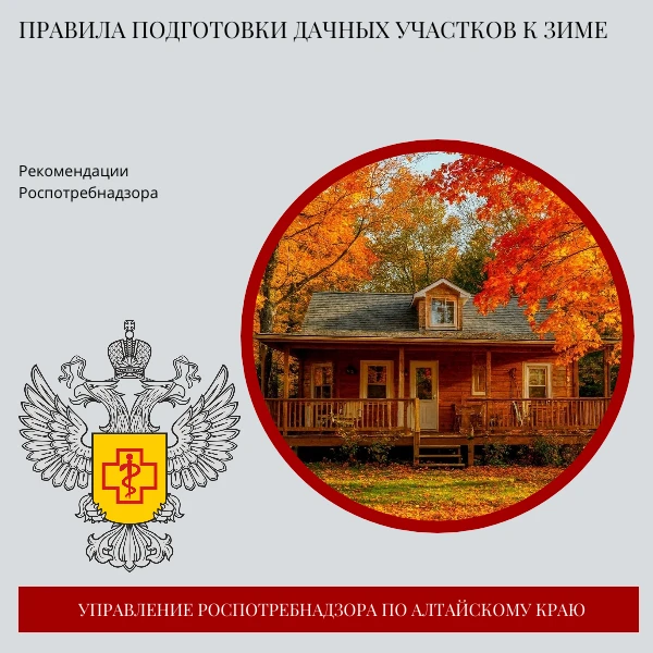 🍁Правила подготовки дачных участков к зиме