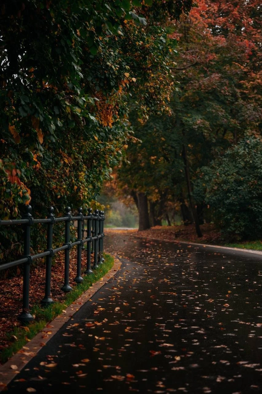🍂 Очень атмосферный фото осеннего парка Коломенское