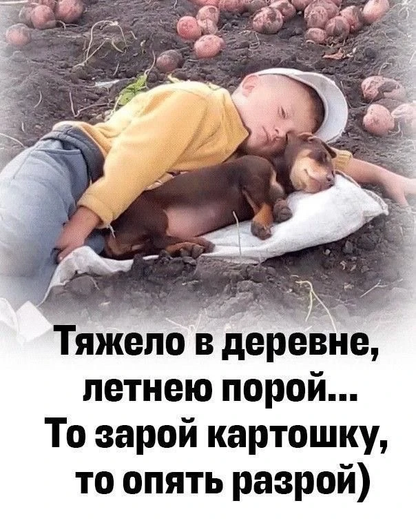 Это точно 🤣🤣🤣🤣👍👍👍