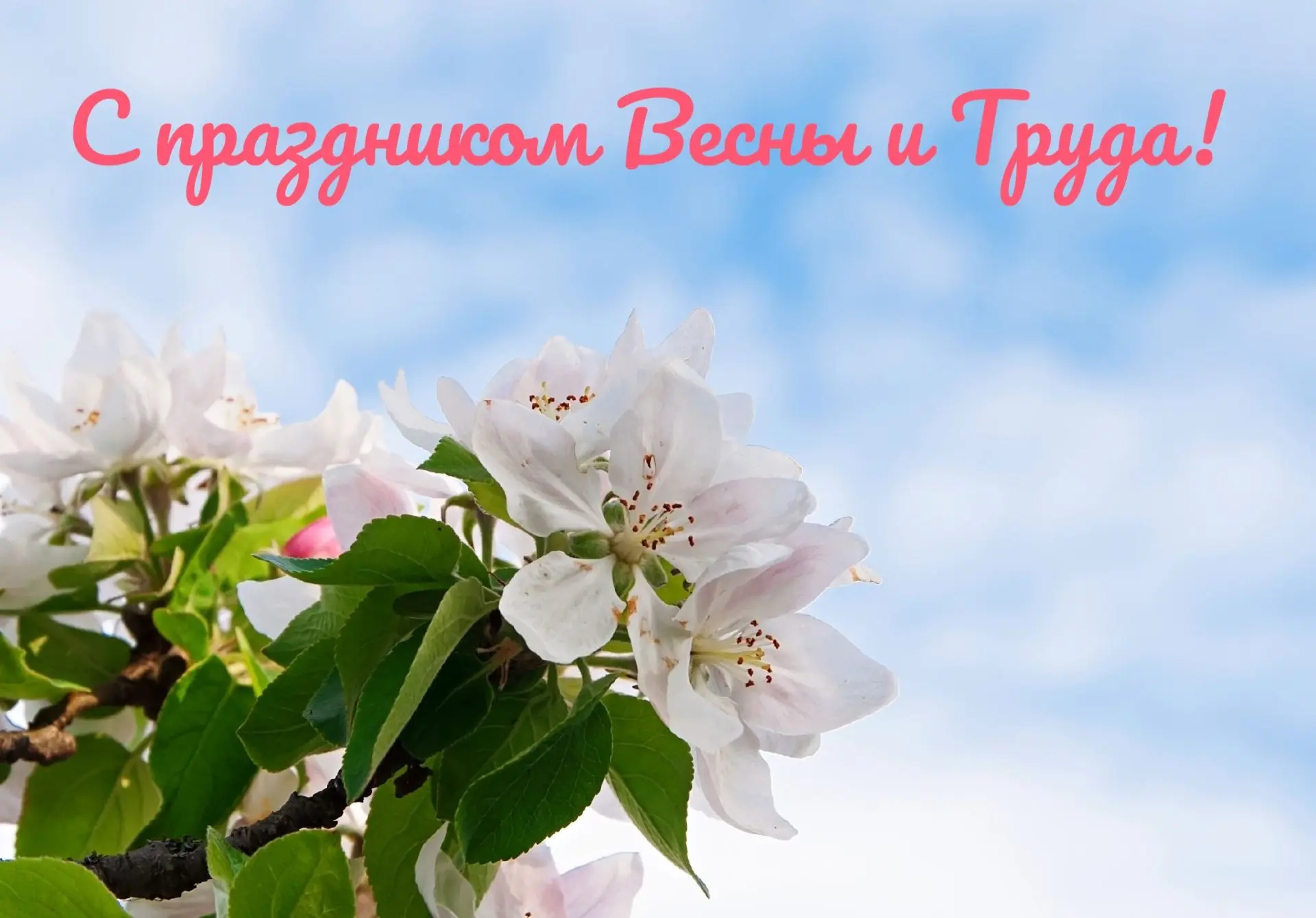 Дорогие земляки! От всей души поздравляю вас с Днем Весны и Труда!