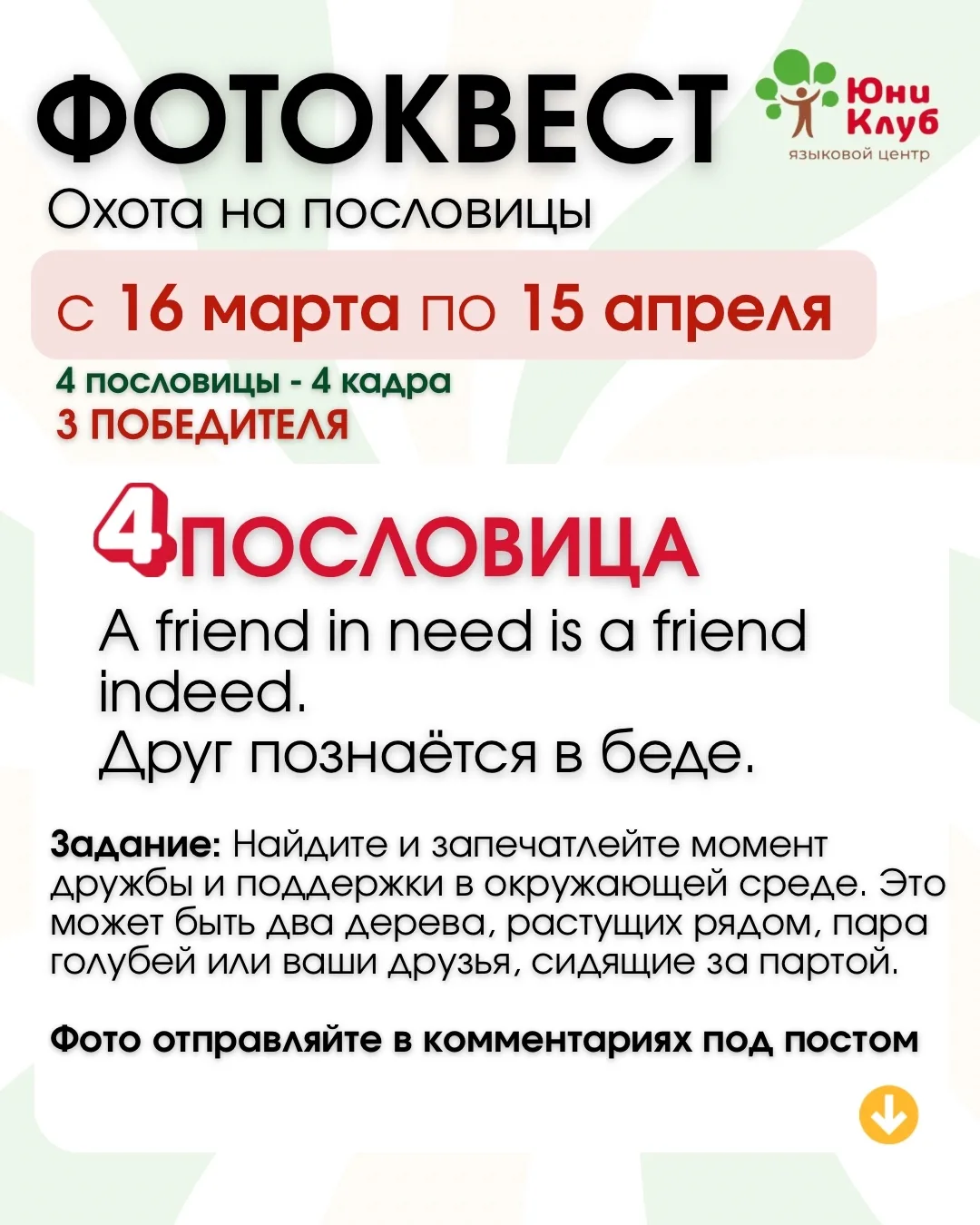 Медиа публикации