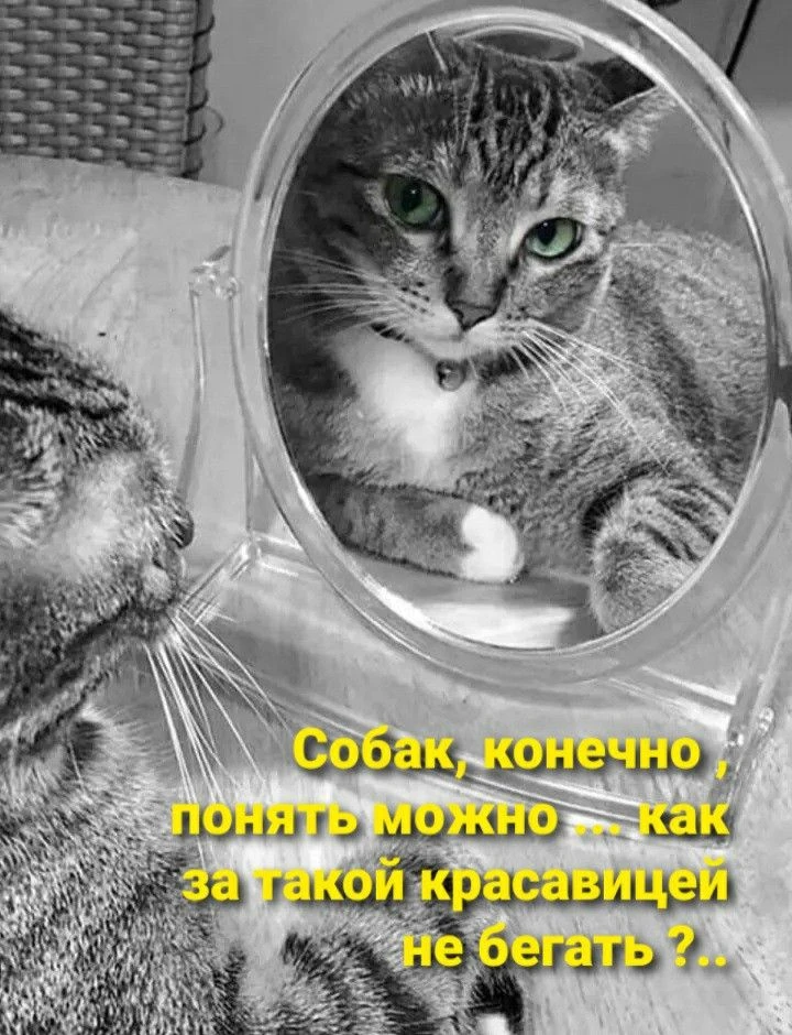 Улыбаемся, хорошим настроением заряжаемся!  😊