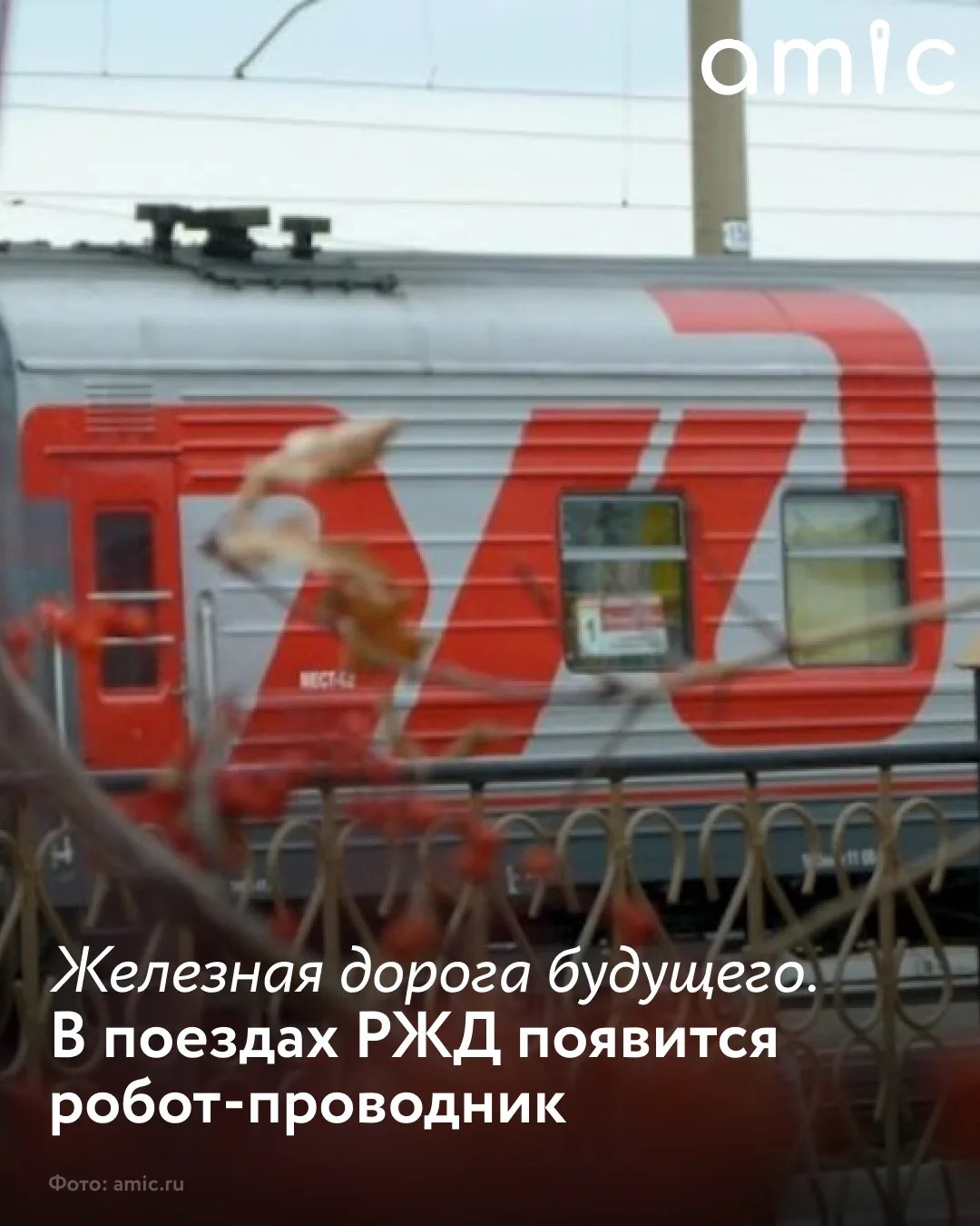 Первый в мире робот-проводник в скором времени начнет работать в поездах РЖД