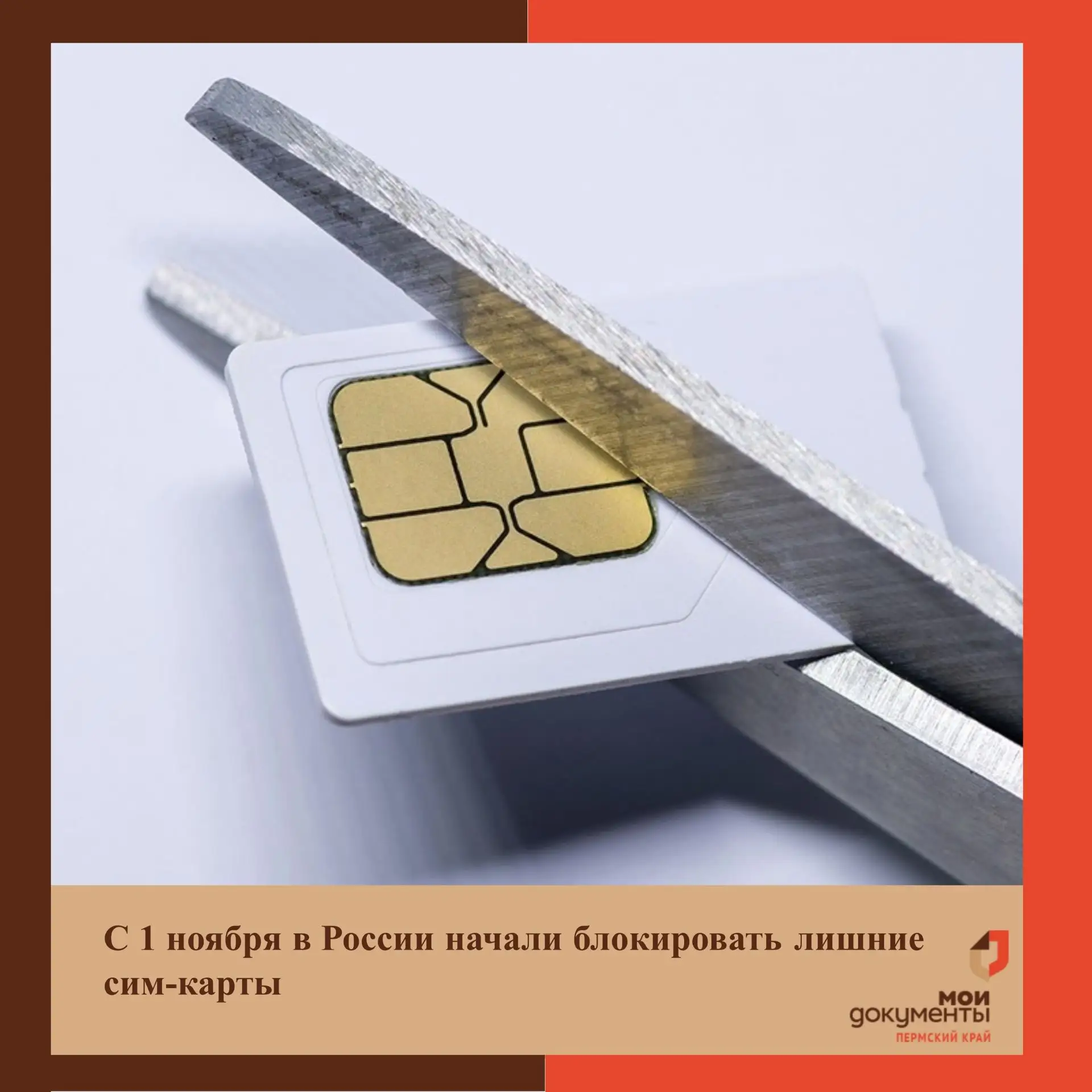 С 1 ноября в России начали блокировать лишние сим-карты  Число оформленных на одного человека абонен