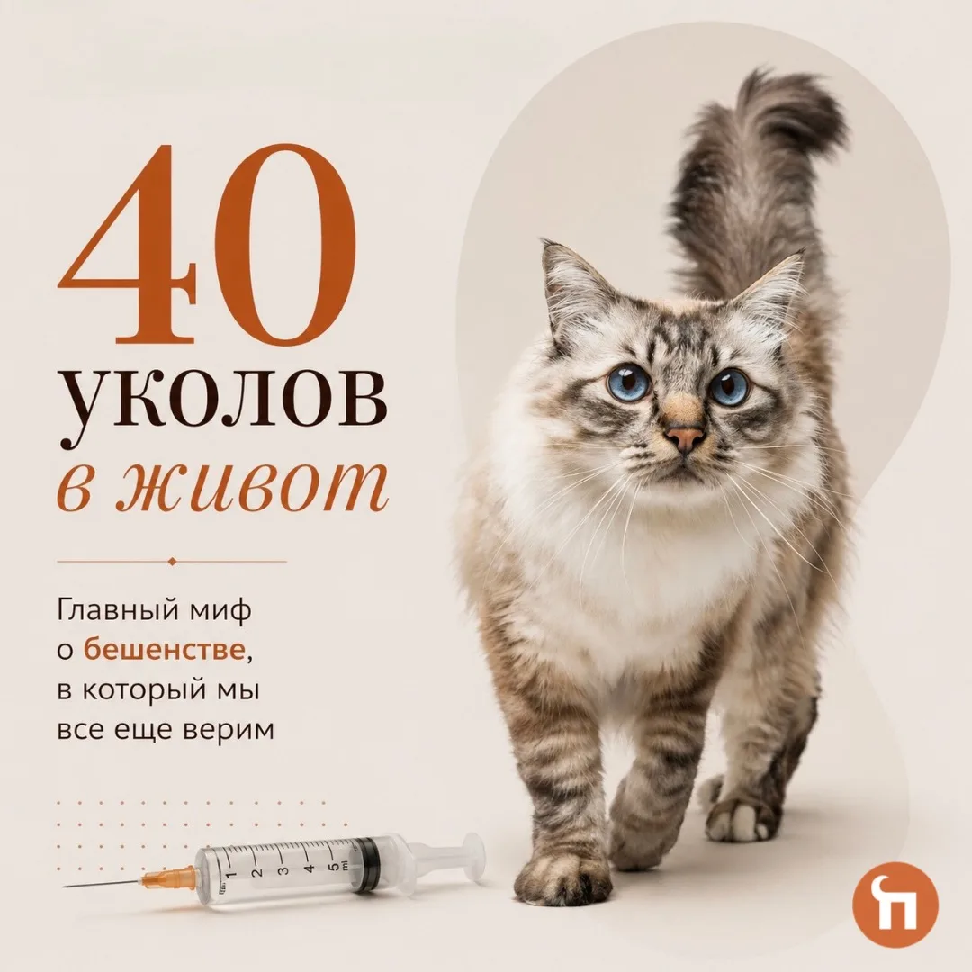 40 уколов в живот после укуса? Нет — этот страшный сценарий давно пора забыть.