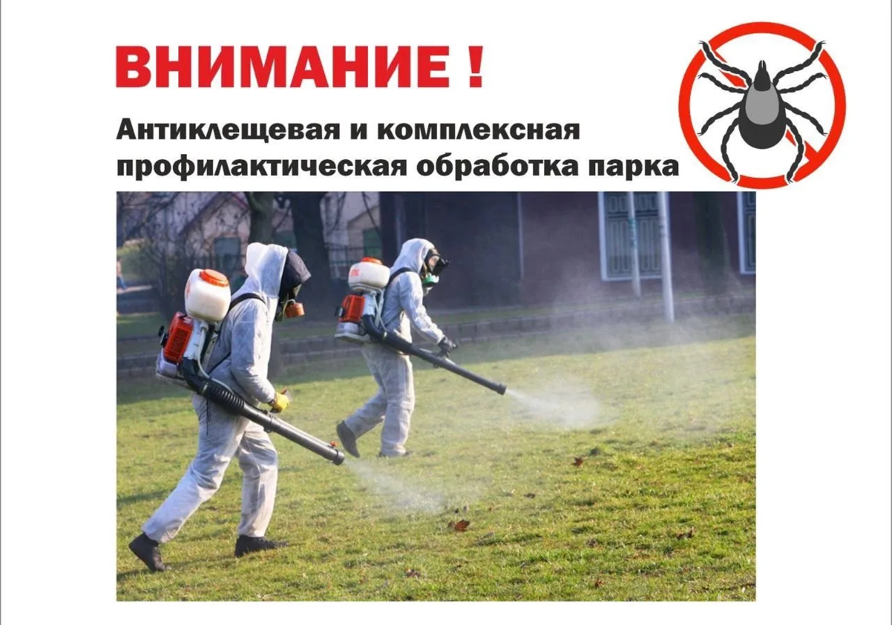 🔸Уважаемые родители (законные представители) и ребята!
8 мая территория нашей школы будет обработан