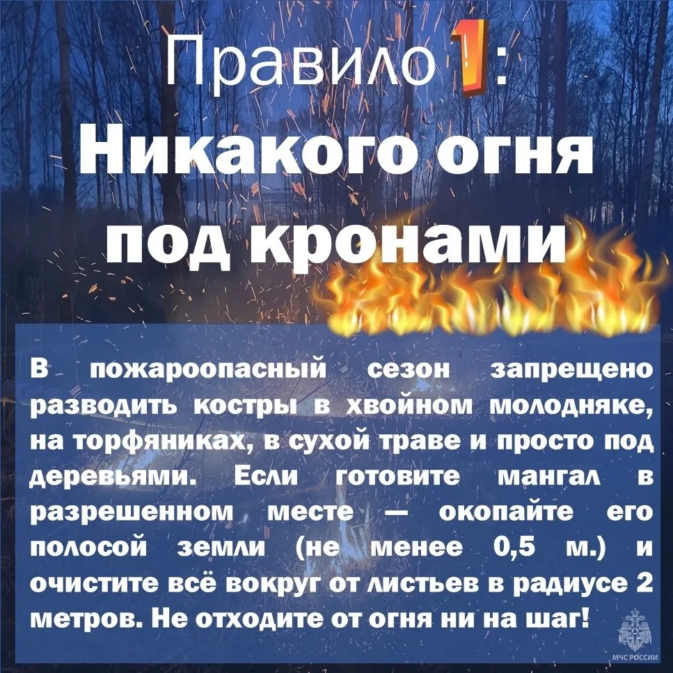 🔥Осторожно: лесные пожары. Обращение инспектора

Природа не прощает беспечности: 9 из 10 лесных пож