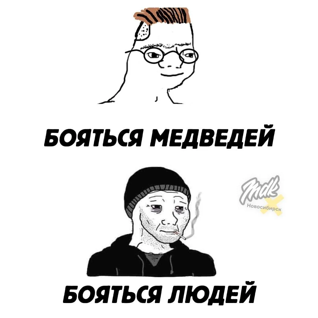 🐻 Жителей нашей области просят временно не ходить в лес