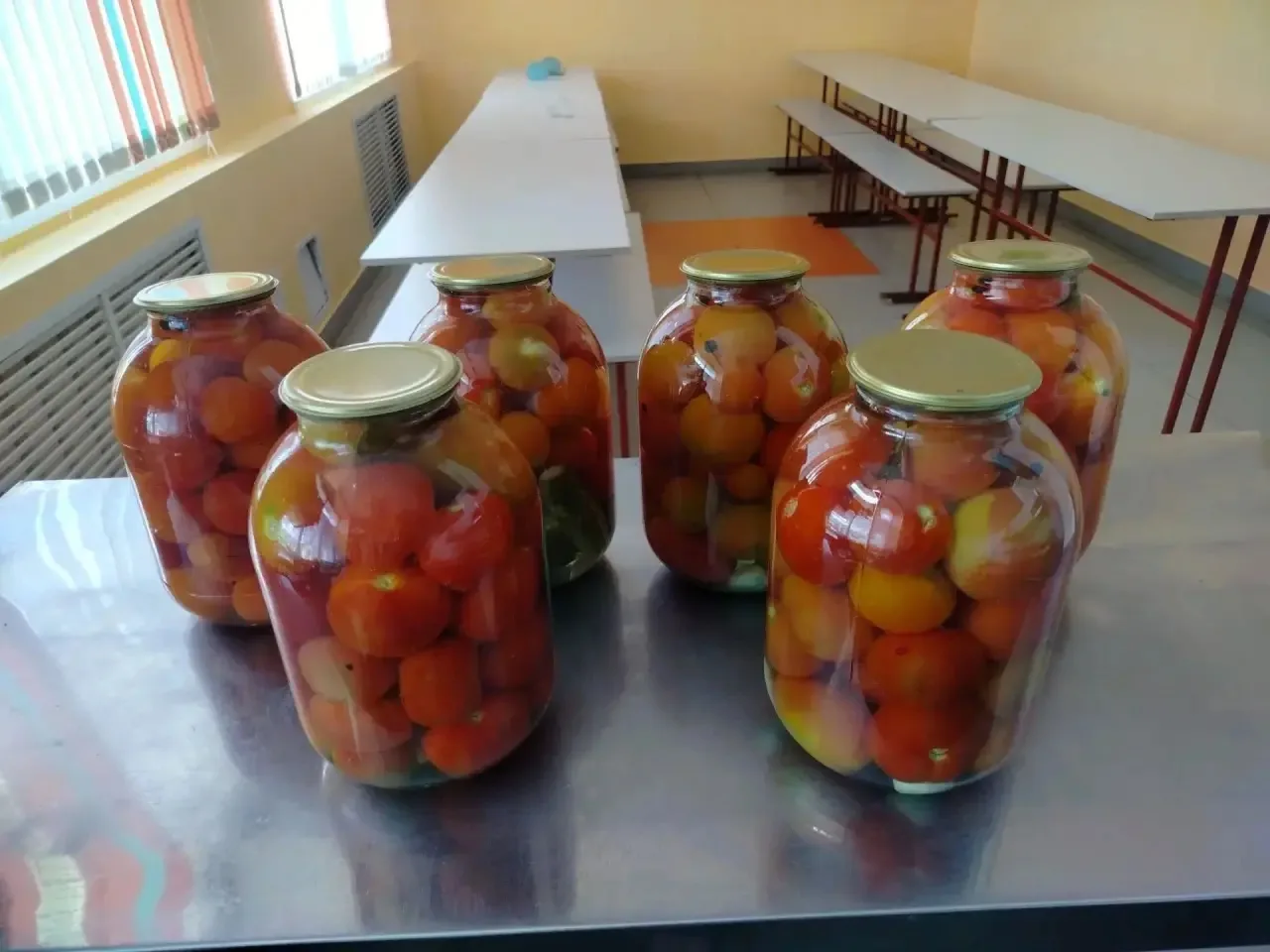 Кышка әзерлек дәвам итә. Бүген мәктәп ашханәсендә помидорлар тозланды,карлыганнан тәмле һәм файдалы 