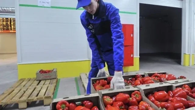 Помощник(грузчик) в магазин Фруктов овощей Ул Первомайская с 9:00 до 19:30  2000т.р в д...