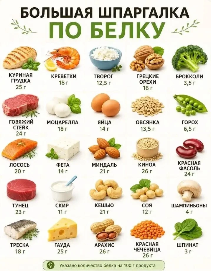 Отличная табличка по содержанию белка в продуктах 🫶