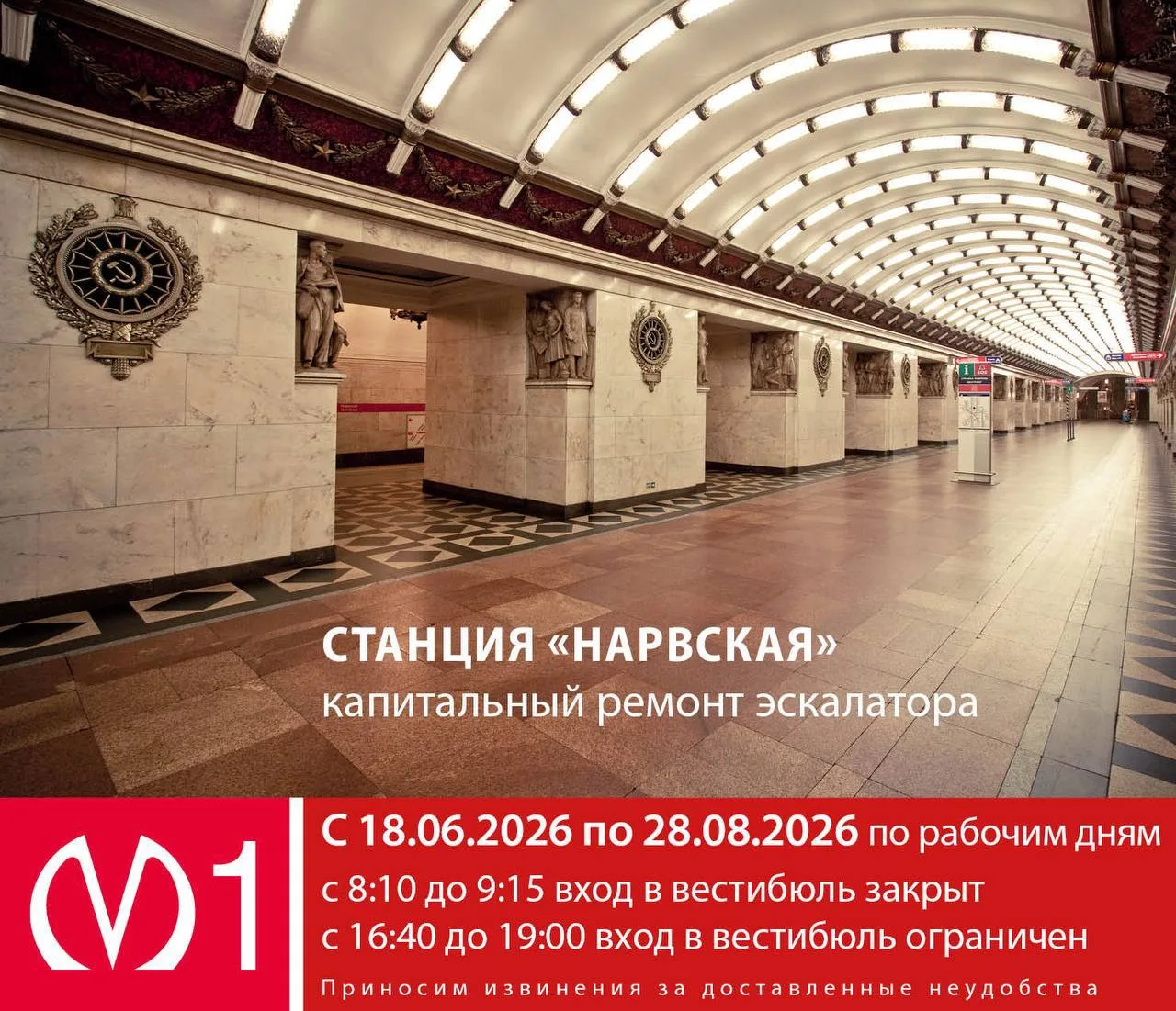 🫎Лосенка-подростка заметили на пересечении шоссе Революции и Индустриального проспекта