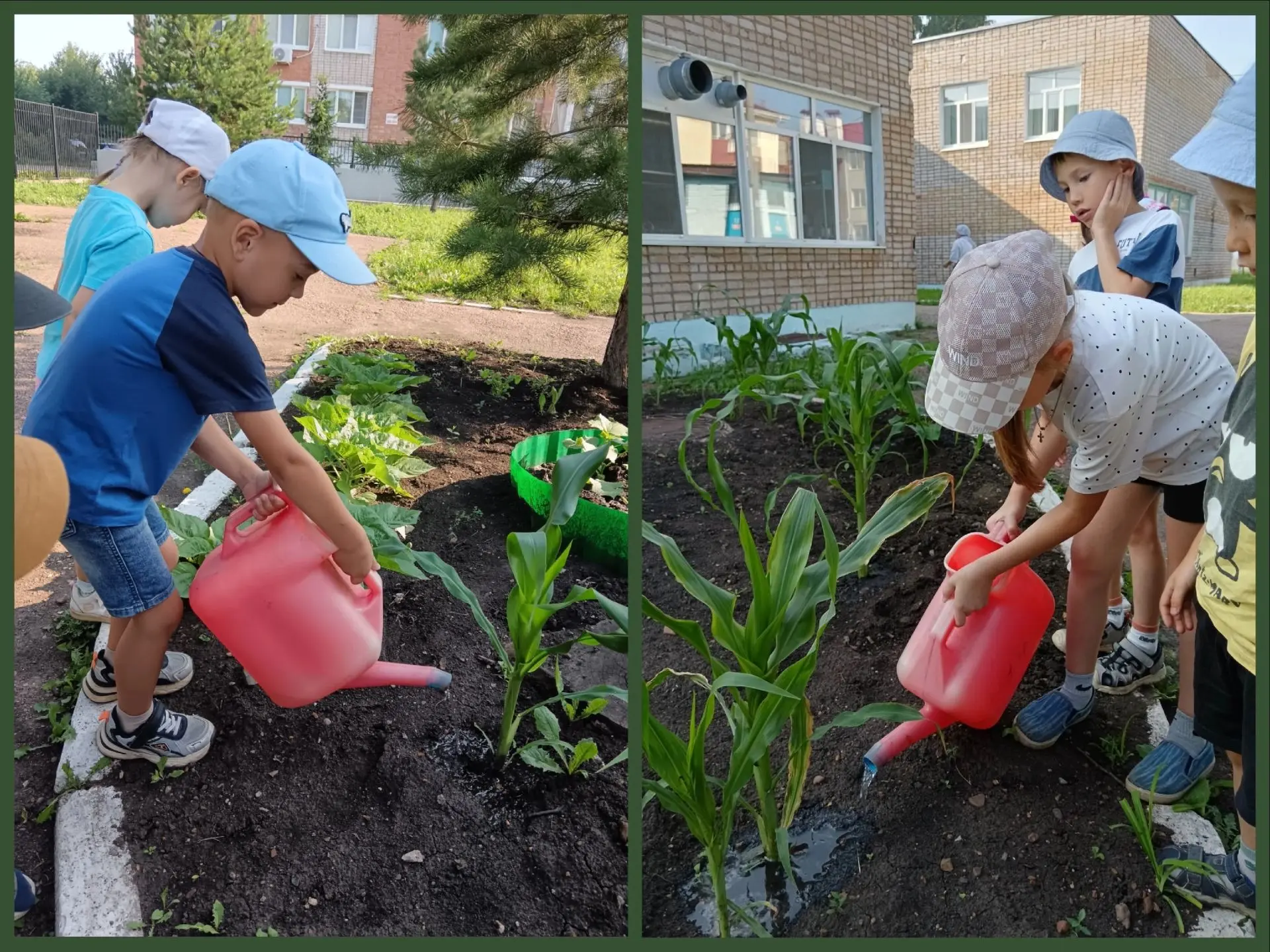 А пойду-ка в огород… 🌽 

А пойду-ка в огород 🥒 
Посмотрю, что там растёт 🌿 
Обойду все грядки 🍅 