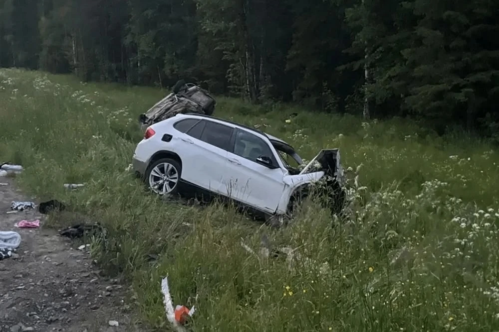 В Плесецком округе в смертельном ДТП погибли трое взрослых и двое детей.

Авария произошла 21 июня п