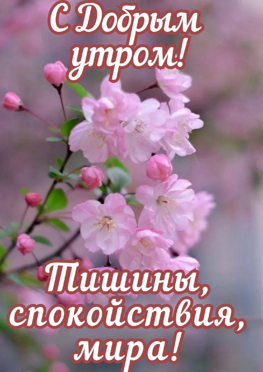 🌷 Открытки подписаться 👈