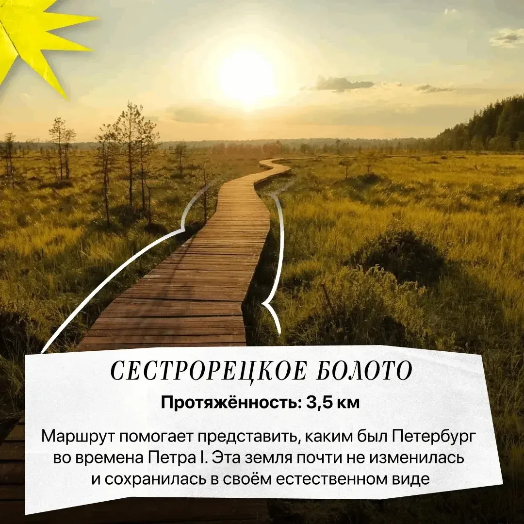 Чтобы новые знания лучше усваивались, нужно давать себе отдохнуть — и лучше всего это делать на прир
