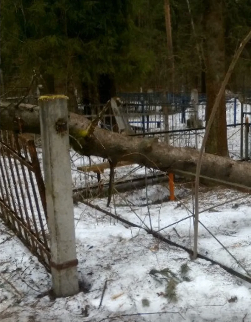 Эту историю мне рассказала соседка по лестничной площадке.