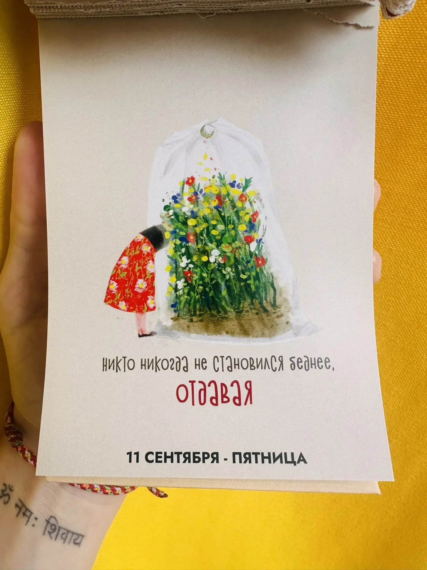 Доброе утро ☀️