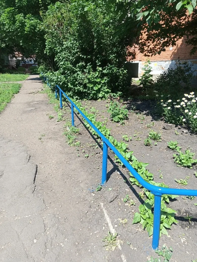 Обновили краской заборы и детские архитектурные элементы.✨🎈   

📍Проспект Строителей 80, Проспект 