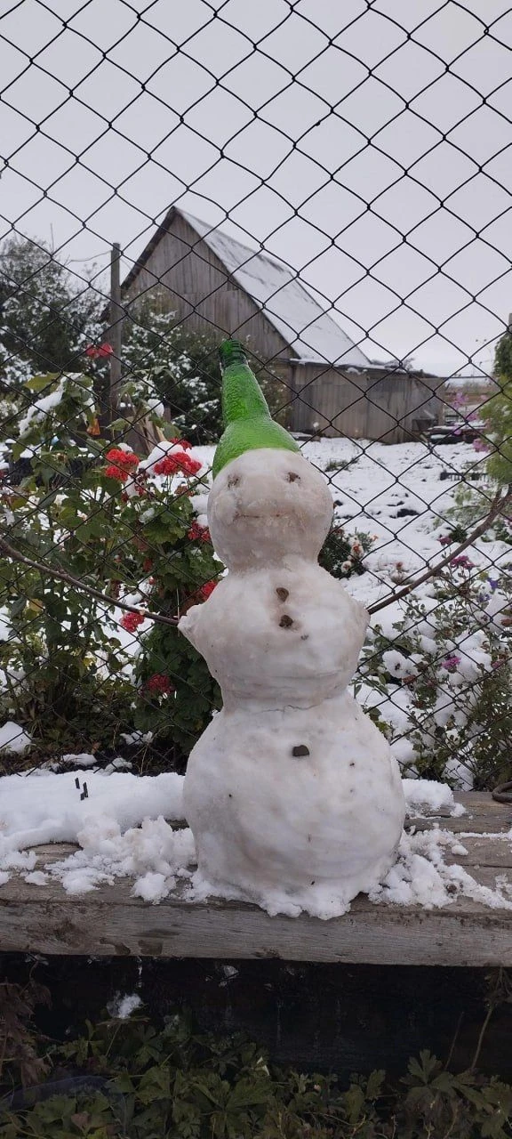 В Оренбургской области уже лепят снеговиков ☃️