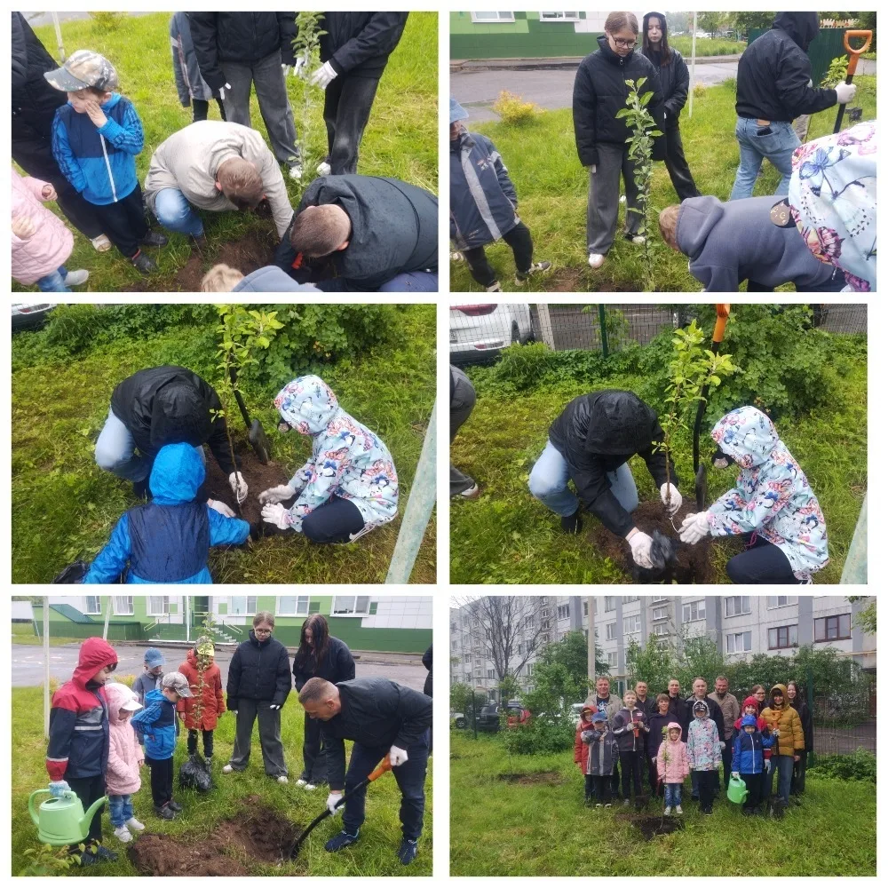 🌳✨ Дорогие друзья! ✨🌳