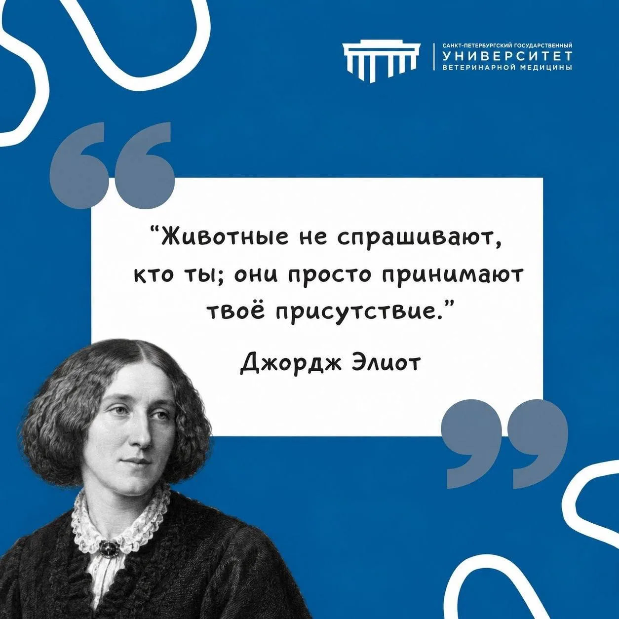 #фразадня #СПбГУВМ