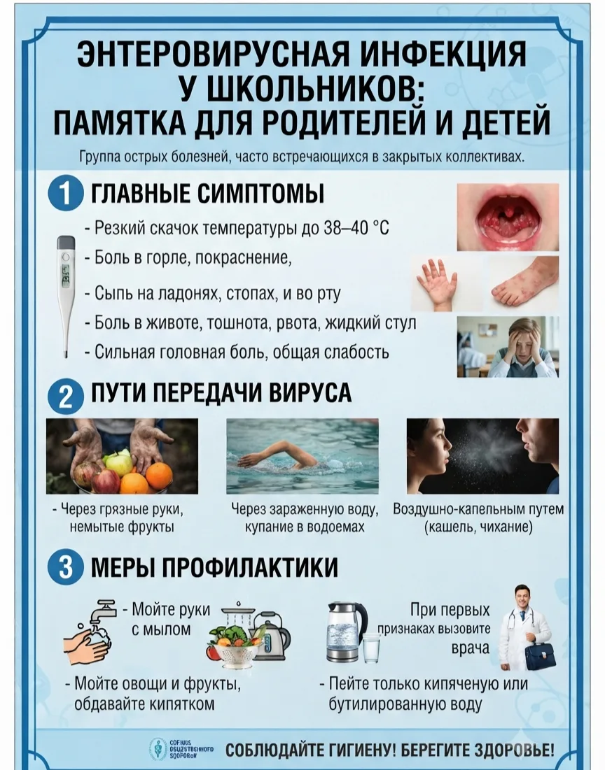 Энтеровирусная инфекция (ЭВИ) — это повсеместно распространенное инфекционное заболевание, вызываемо